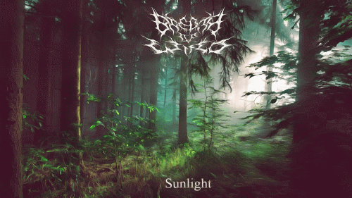 Breath Of Wind : Sunlight